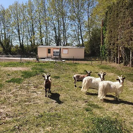 Cocon Familial A La Ferme